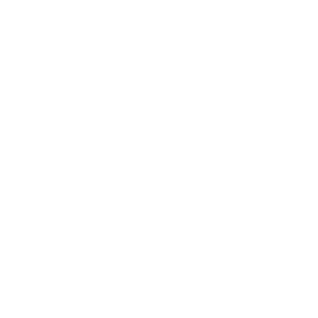Sector Público